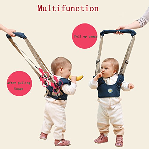 Toddler Walking Assistant – Baby Learning Walker Support